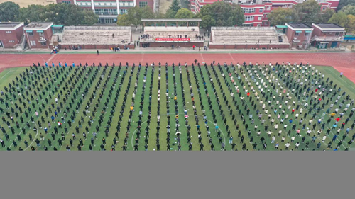 图片1_副本.png