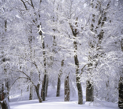 13_副本.jpg 13_副本.jpg